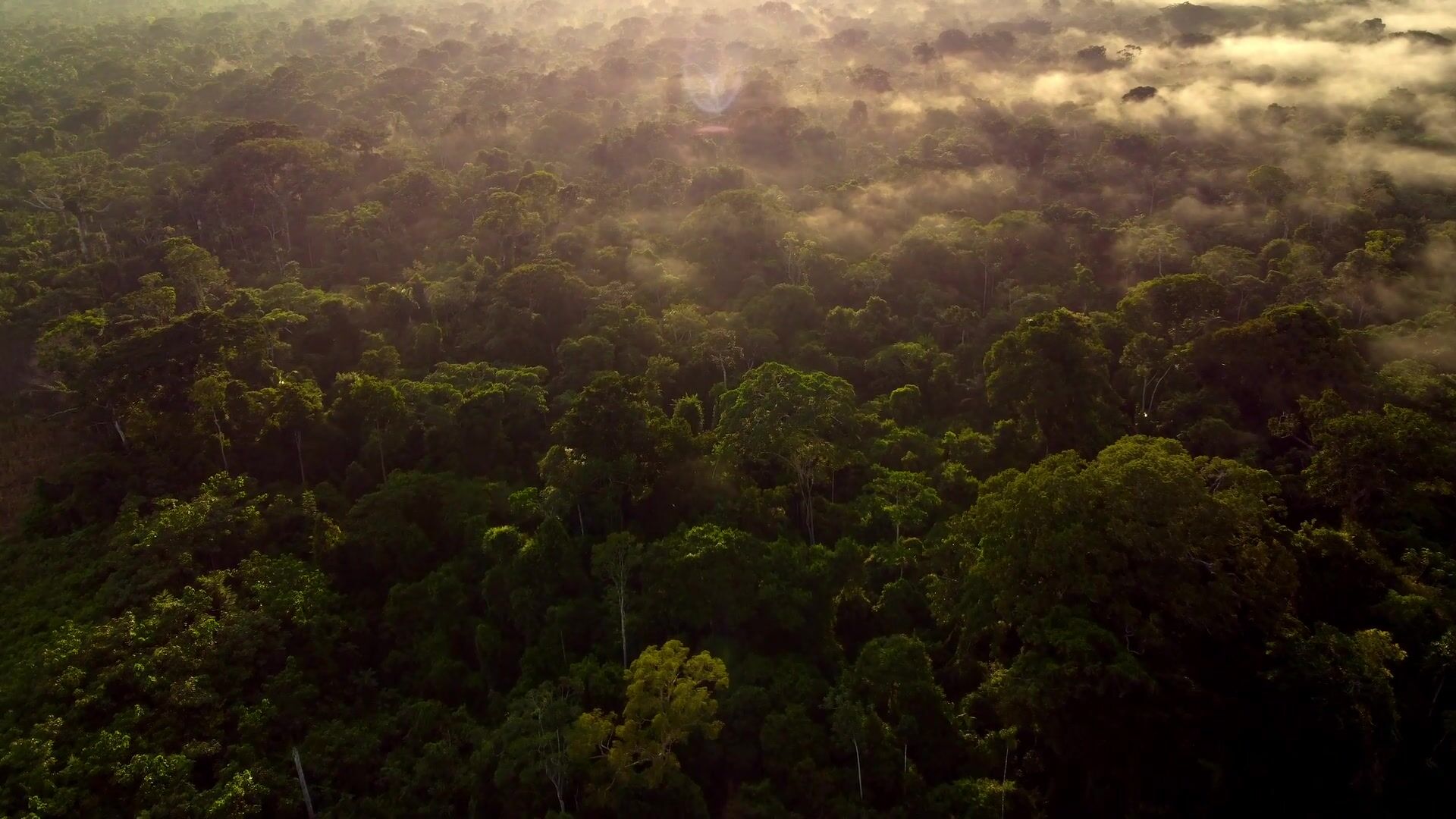 Prévia do acervo AWANAR Archive